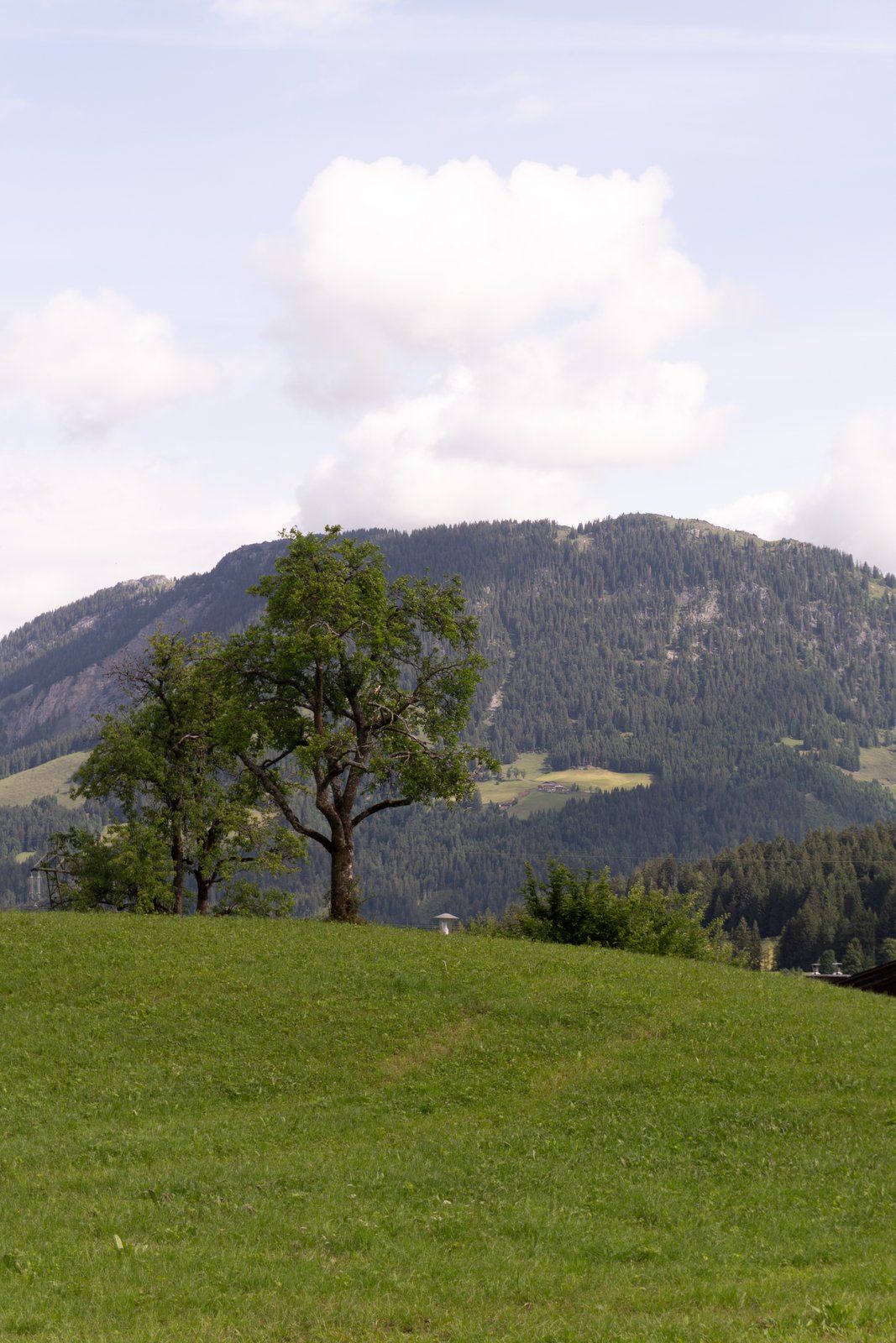 ADEA Lifestyle Suites, Fieberbrunn — photo 065