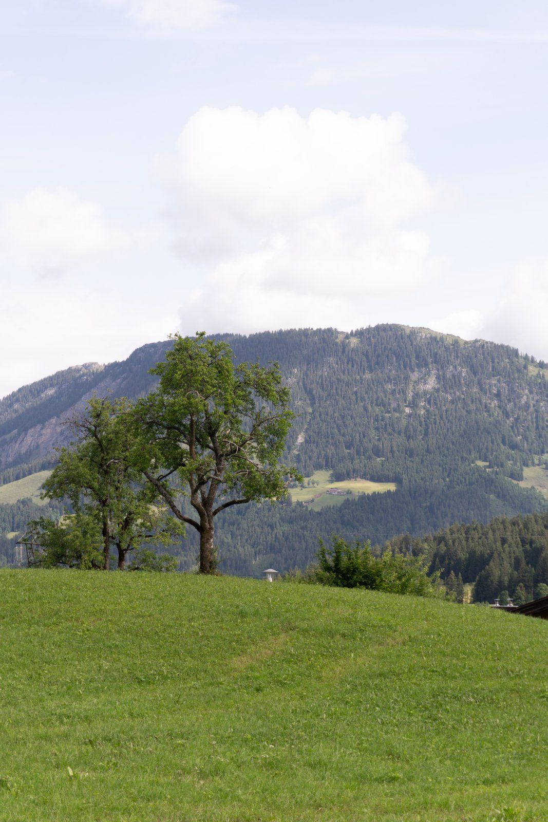 ADEA Lifestyle Suites, Fieberbrunn — photo 066