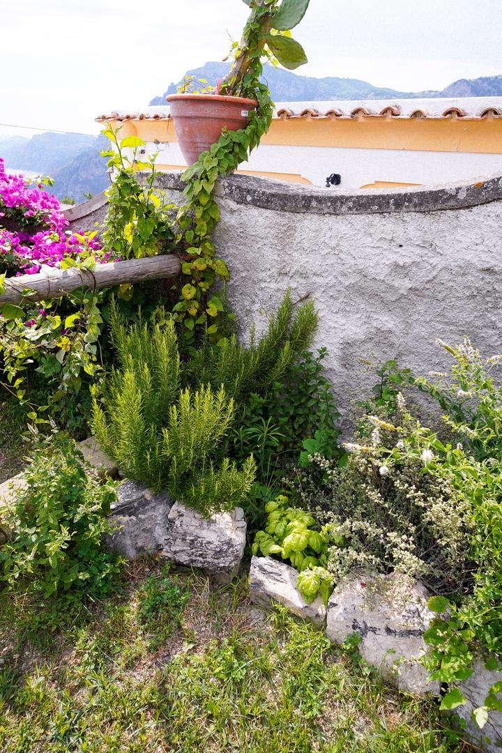 Arcu Retreat, Nocelle — photo 052