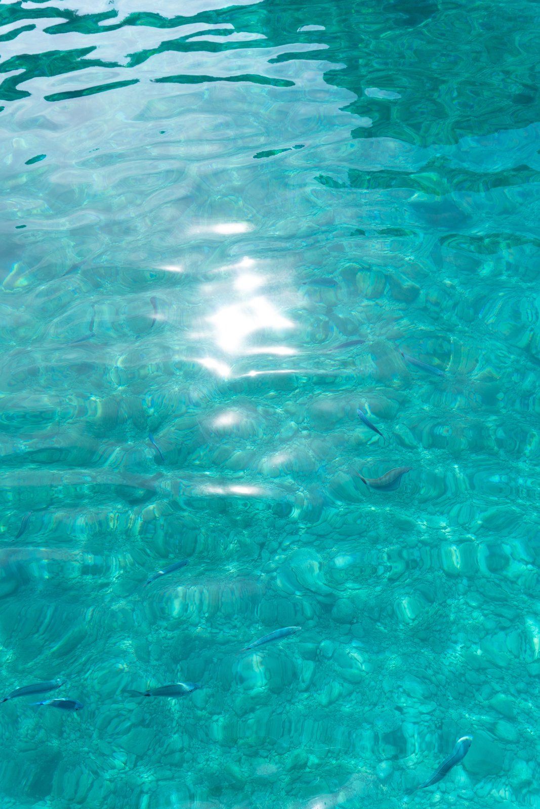 Island hopping, Makarska — Nautilus boat ride, photo 024