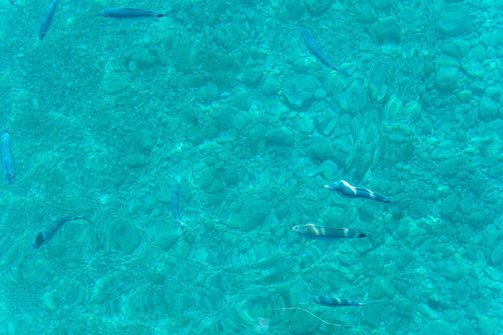 Island hopping, Makarska — Nautilus boat ride, photo 033