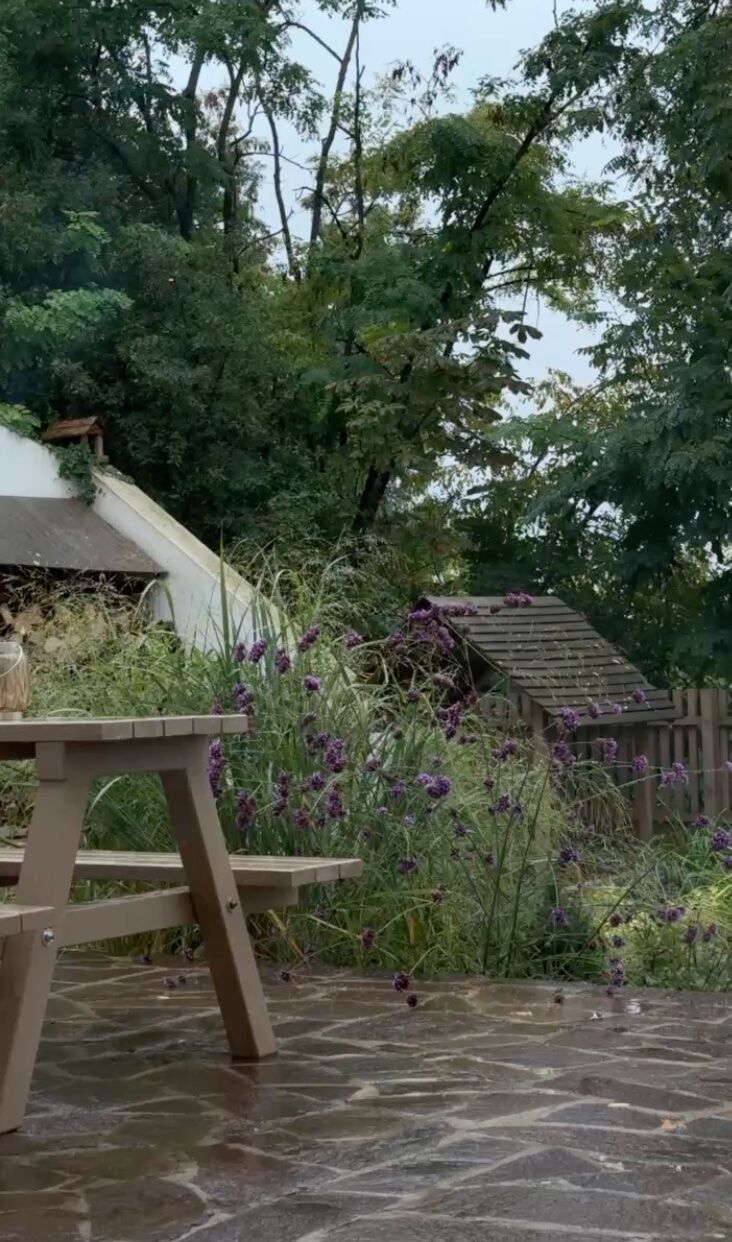 Chalupa Mezi Sklepy — verbena and bench