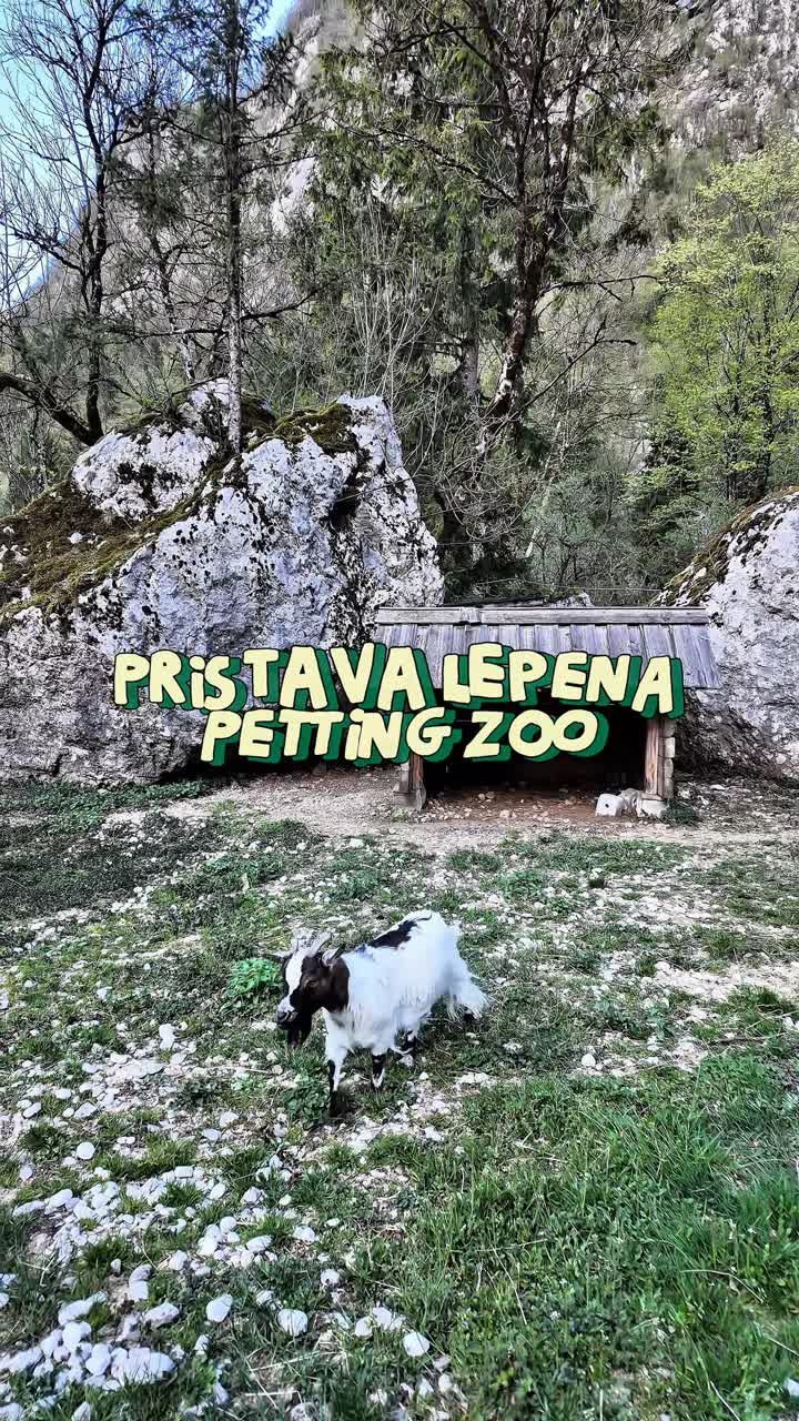 Petting zoo, Slovenia