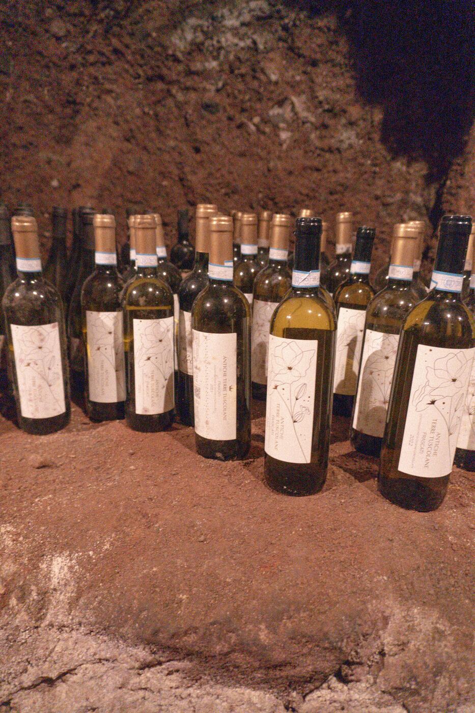 Frascati bottles resting in the tufa cellar