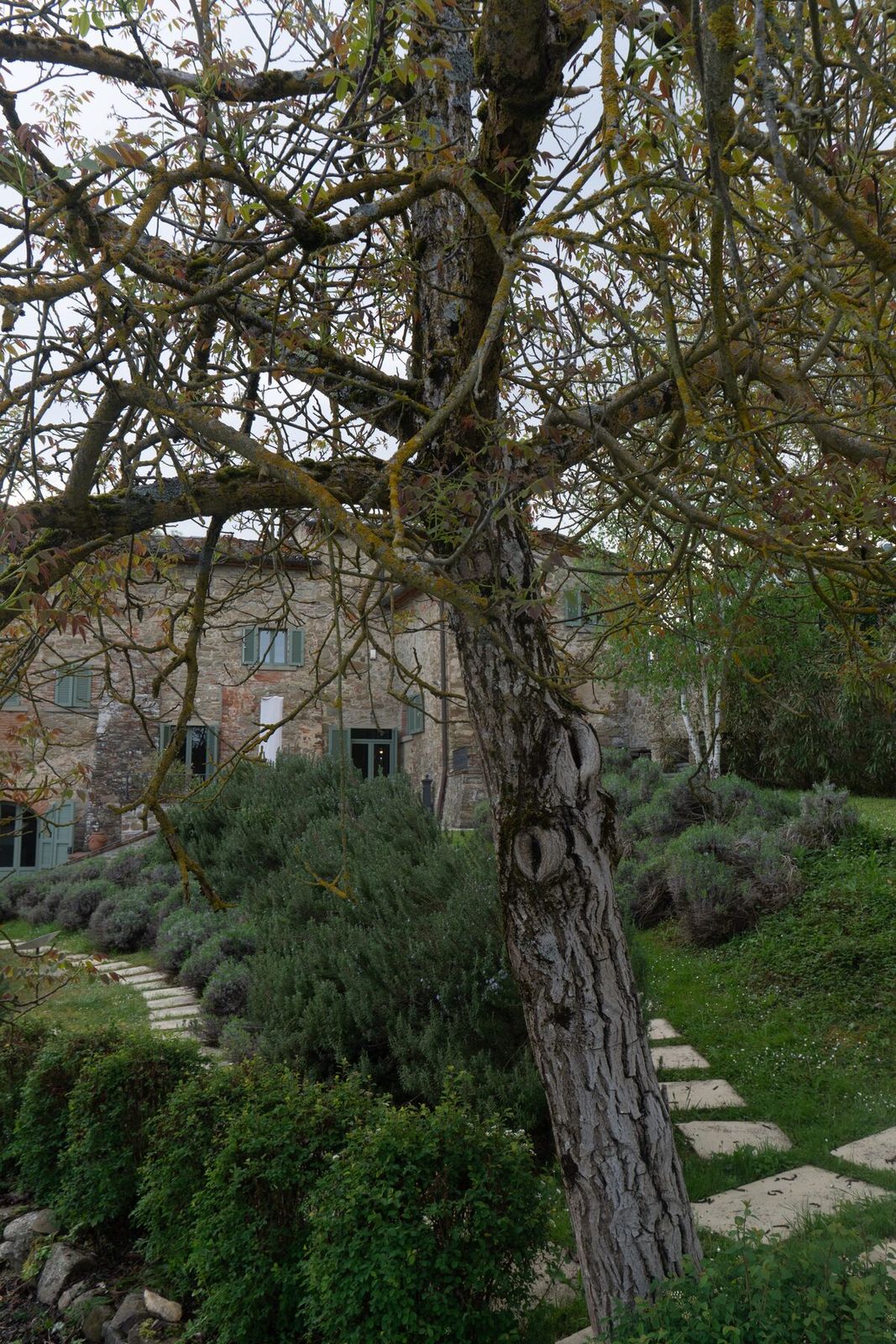 Villa Da Eva, Umbria — photo 029
