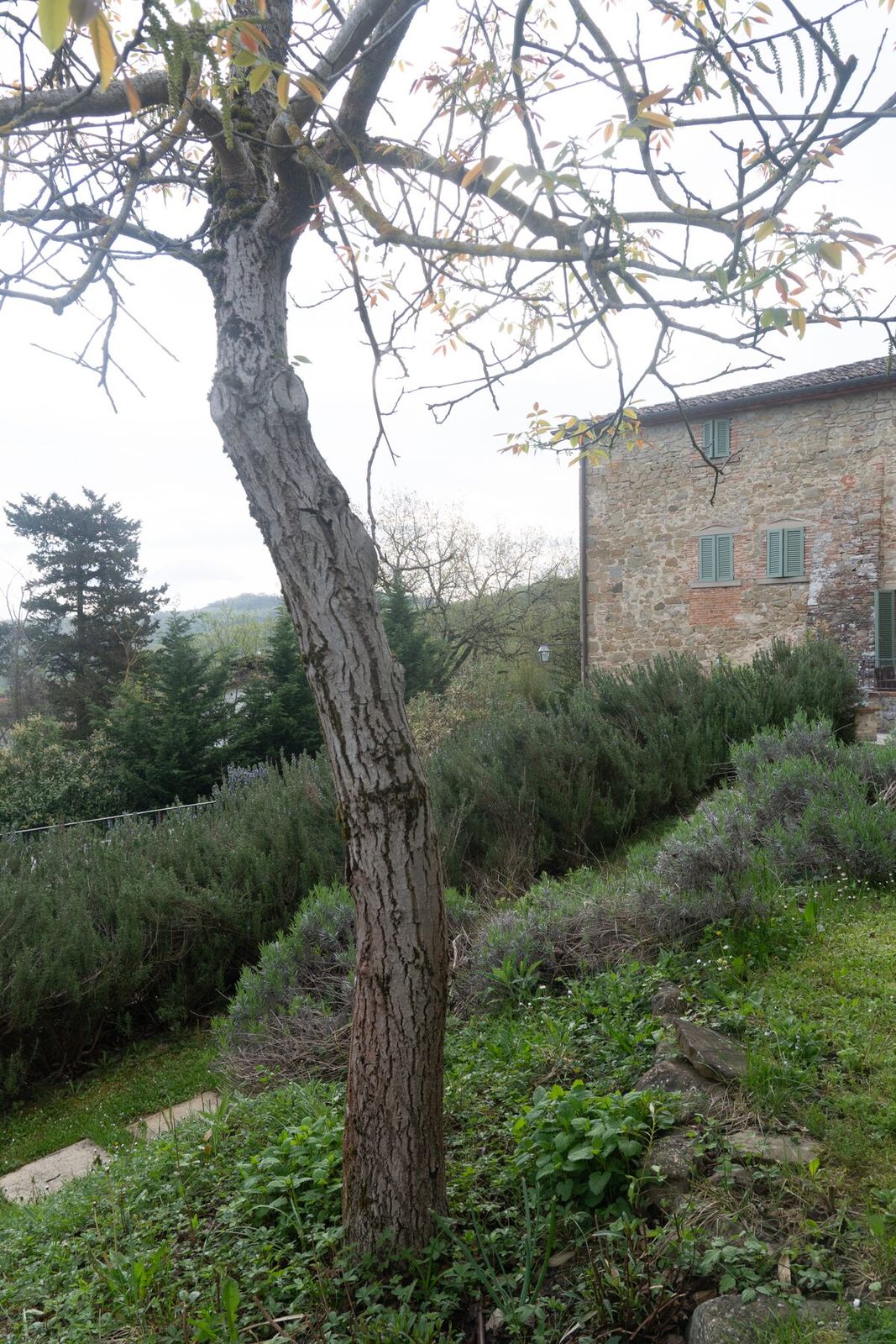 Villa Da Eva, Umbria — photo 030