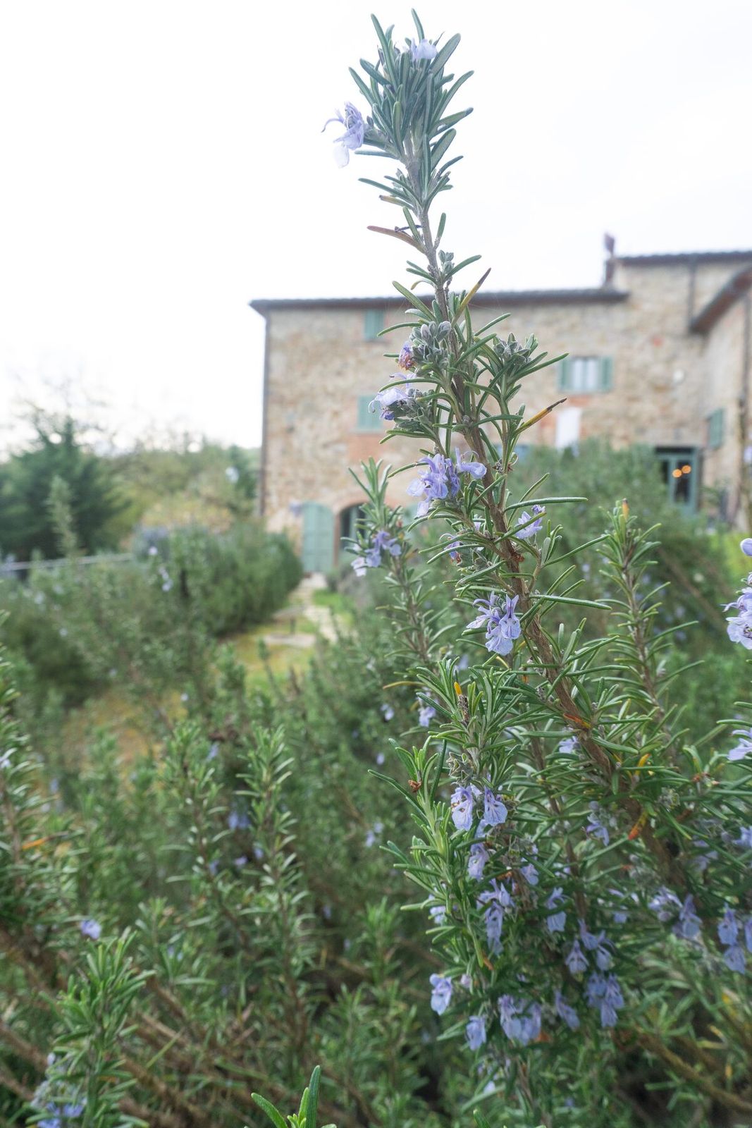 Villa Da Eva, Umbria — photo 035
