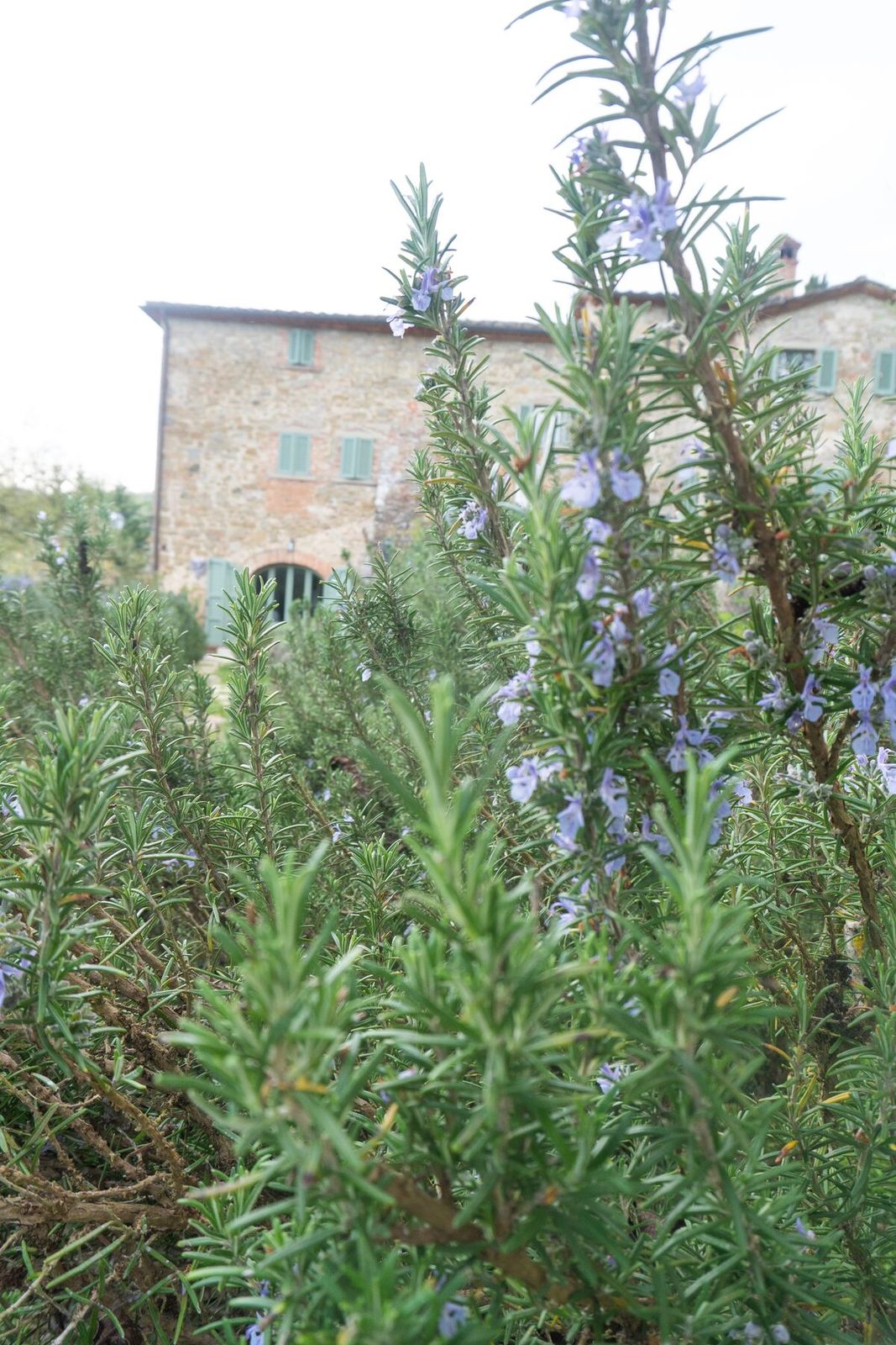 Villa Da Eva, Umbria — photo 036