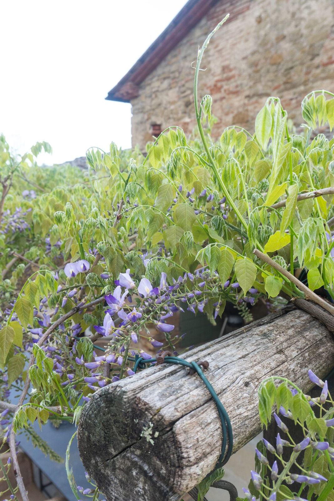 Villa Da Eva, Umbria — photo 053