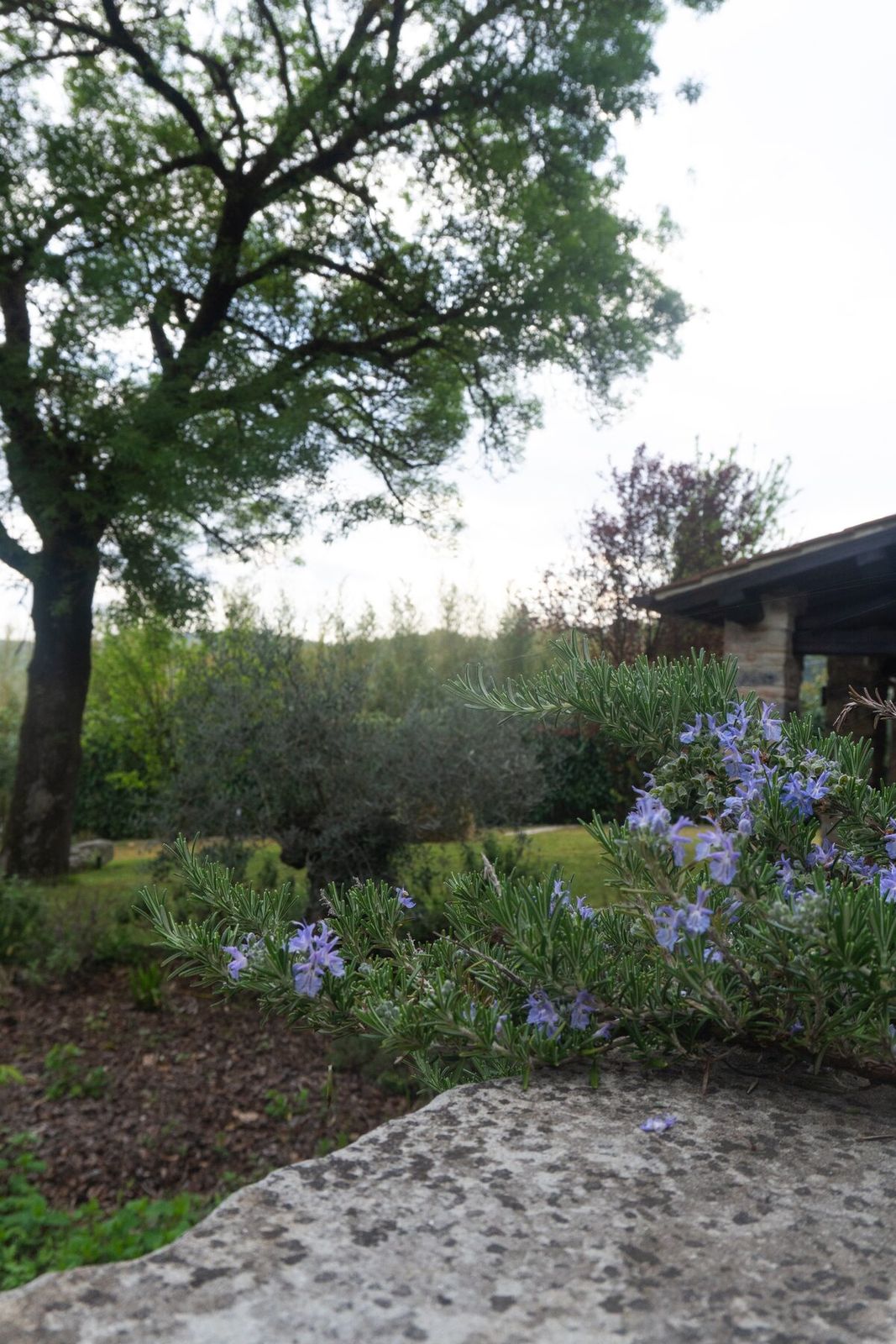 Villa Da Eva, Umbria — photo 059